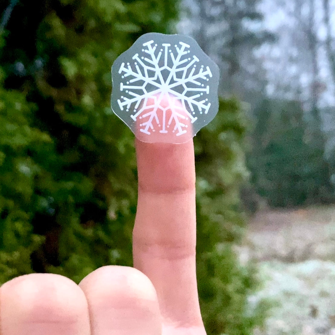 Tiny Snowflake Sticker